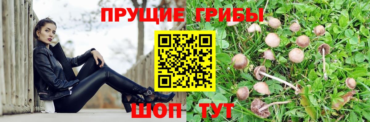 Псилоцибиновые грибы прущие грибы Ростов-на-Дону