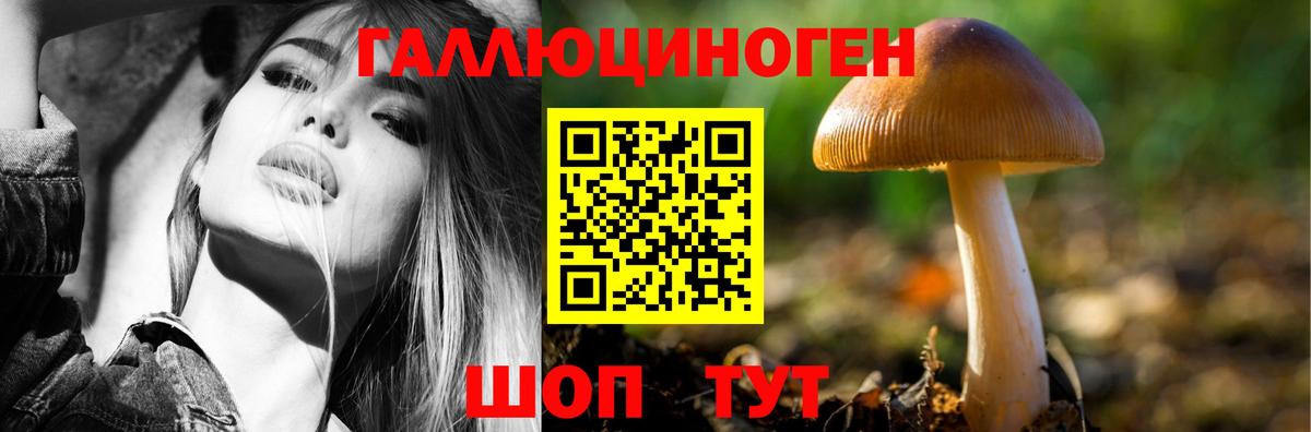 Ростов-на-Дону  Галлюциногенные грибы Psilocybe  Вход с VPN 